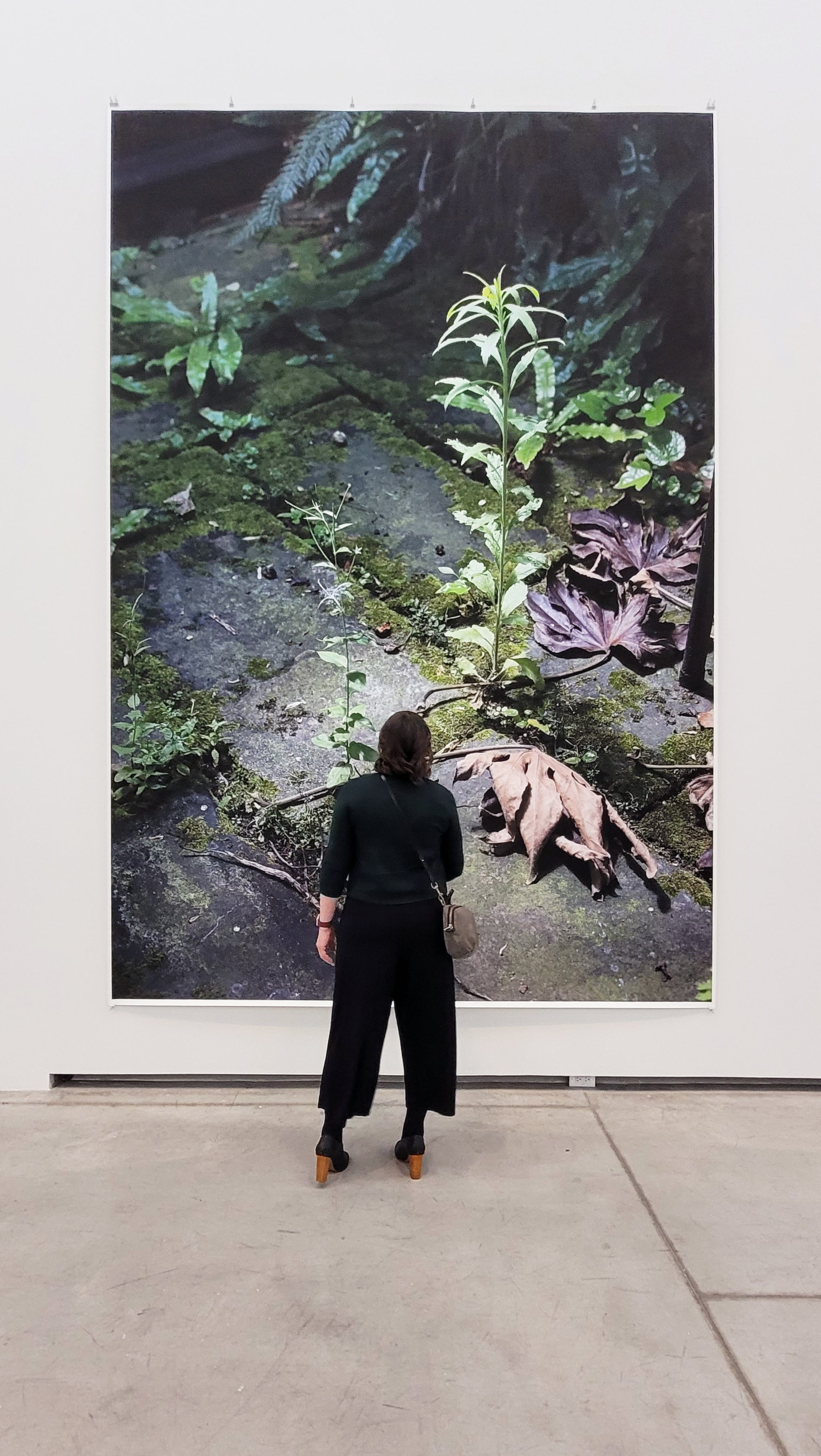 Laura Wood - OAP at BMO Investment talk at the AGO - Wolfgang Tillmans - To Look Without Fear