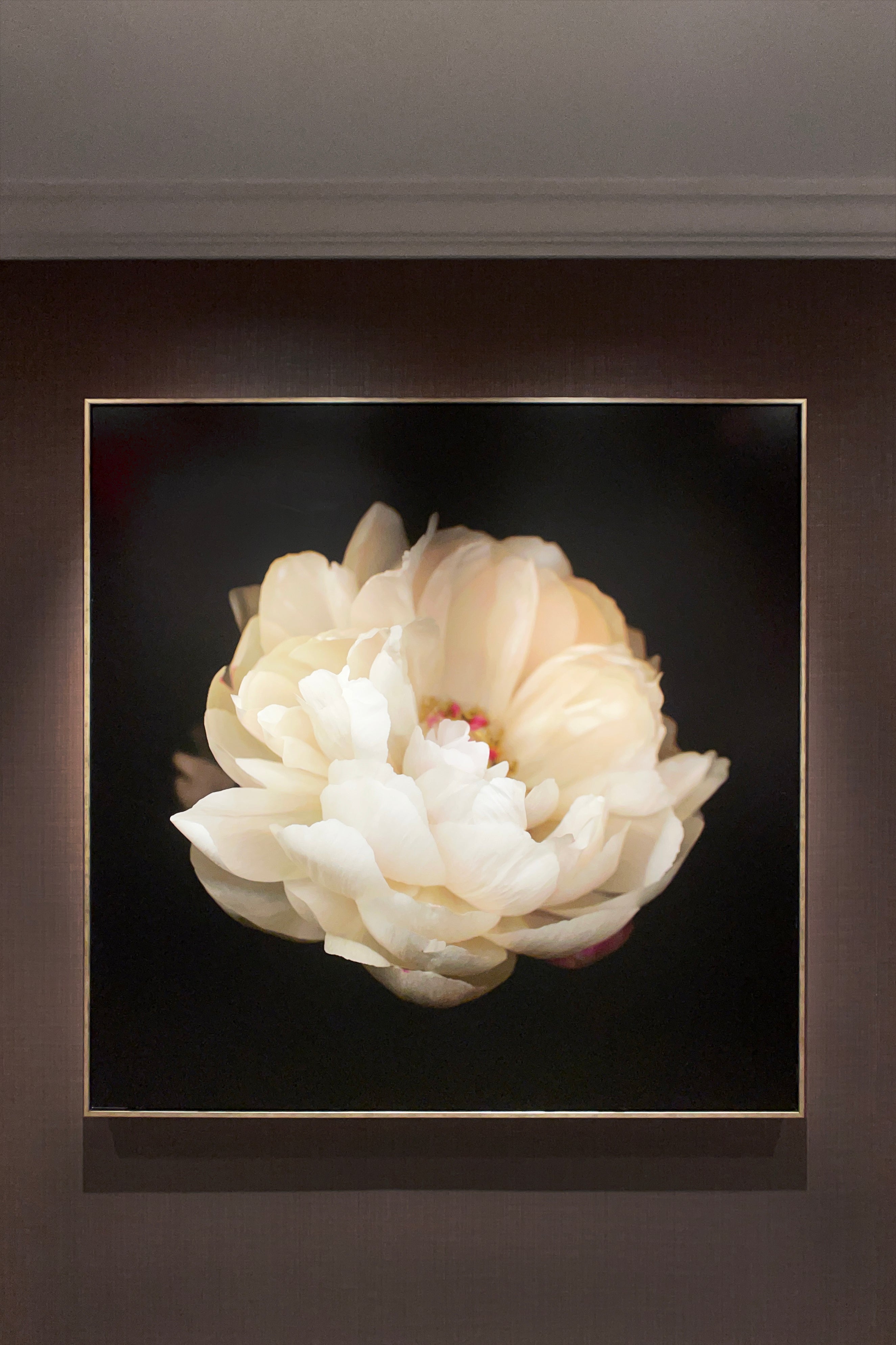A framed photograph of a large white peony on a dark background by Doris Mitsch hangs on the wall.