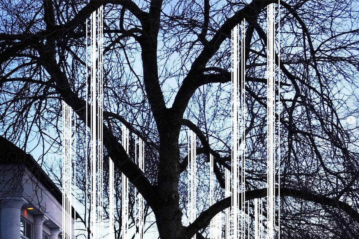 Luminosity - Opus Art Projects - Light Installation - Toronto Beaches - Light Tree