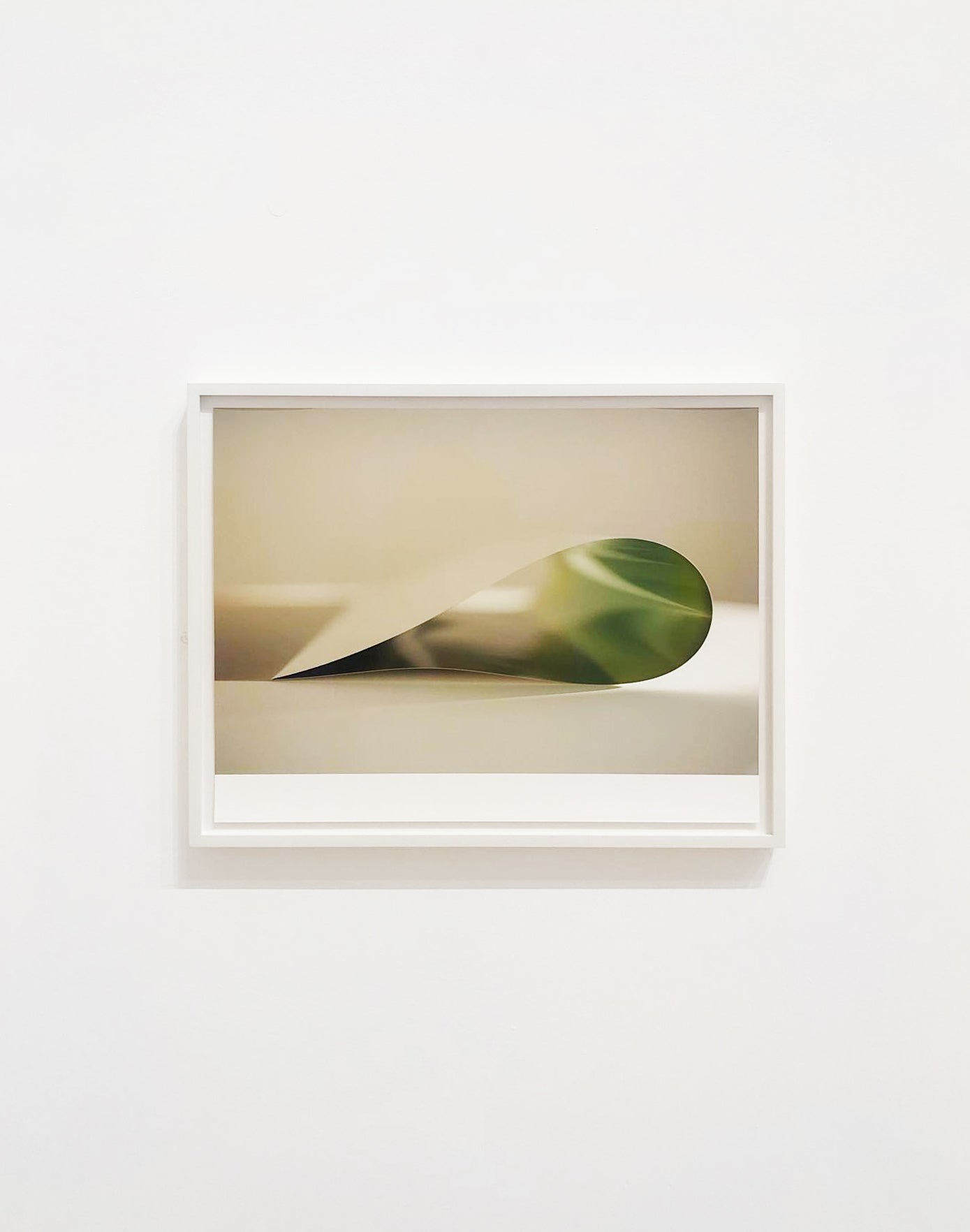 Opus Art Projects at BMO Investment talk at the AGO - Wolfgang Tillmans - To Look Without Fear